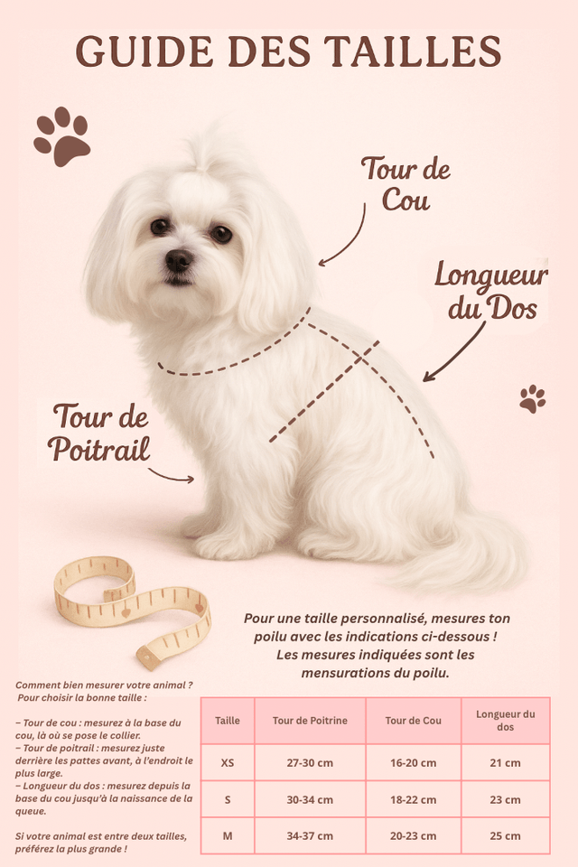 Pack “Retour de promenade cocooning”