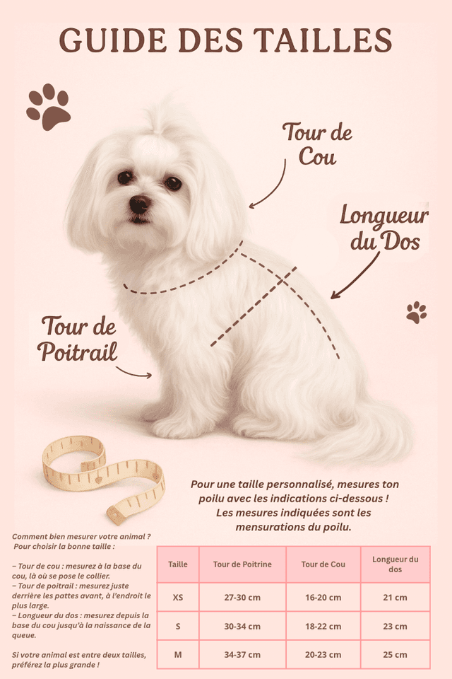 Pack “Retour de promenade cocooning”